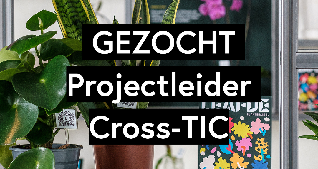 Gezocht: Projectleider Cross-TIC